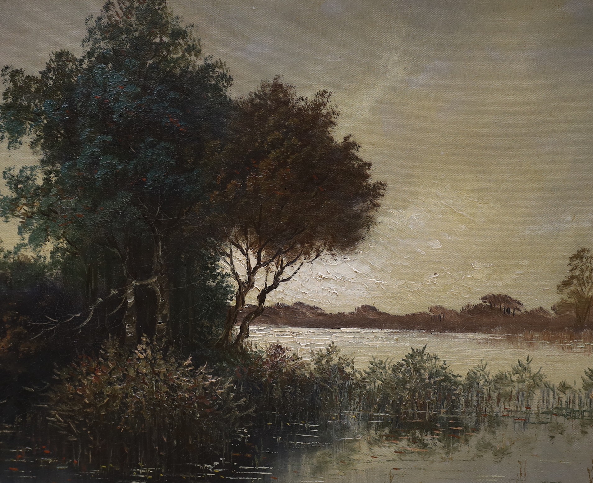 Continental School, oil on canvas, Lakeside trees, 50 x 60cm